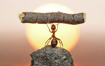 Cố gắng sống không cần cố gắng