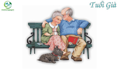 Tuổi già